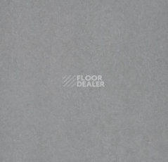 Линолеум Forbo De Luxe 2781-3111 light neutral grey фото 1 | FLOORDEALER